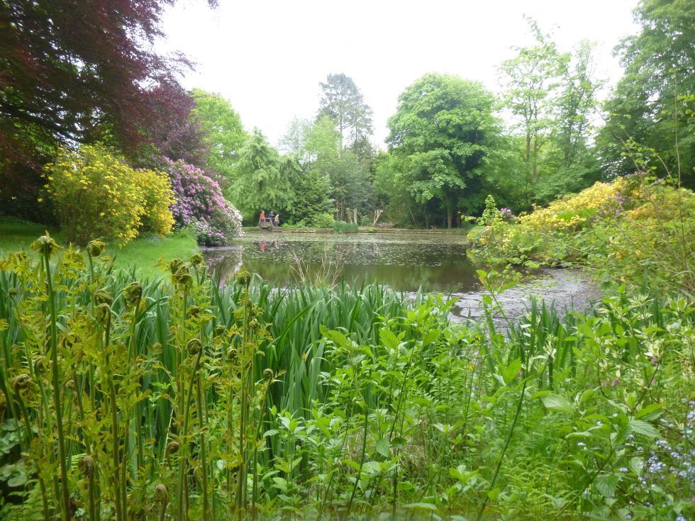 Dam repair at Wightwick Manor