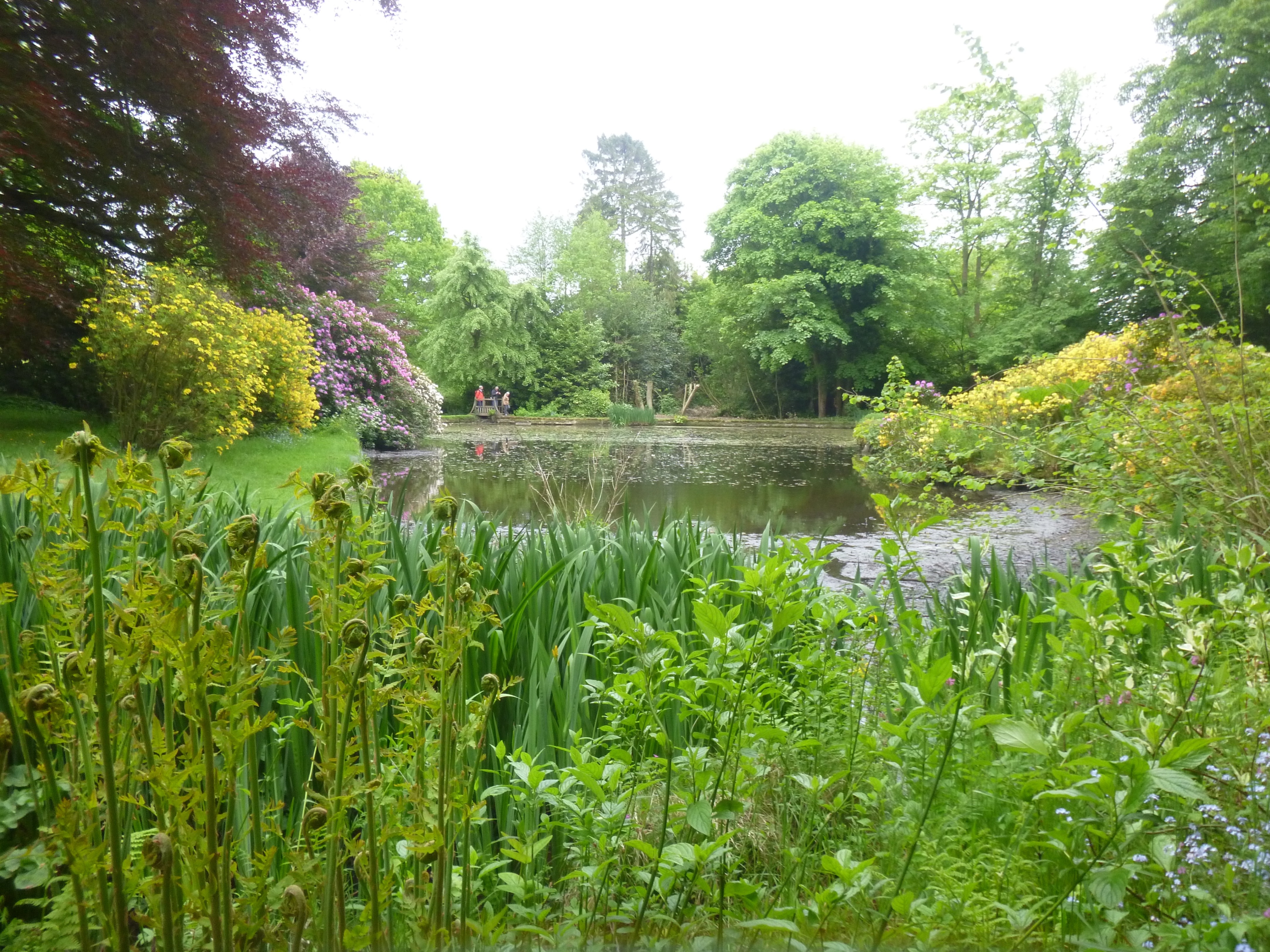 Dam repair at Wightwick Manor